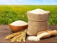 قیمت جدید برنج مشخص شد/ کاهش قیمت برنج ایرانی