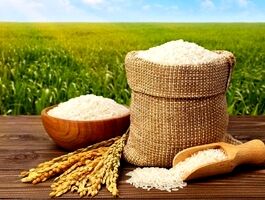 قیمت جدید برنج مشخص شد/ کاهش قیمت برنج ایرانی
