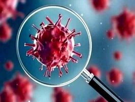 وزارت بهداشت درباره سویه «سیکادا» کرونا توضیح داد
