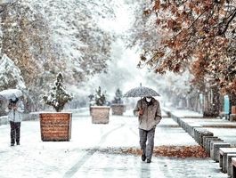 ساکنان این استان‌ها منتظر بارش برف باشند 