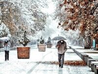 ساکنان این استان‌ها منتظر بارش برف باشند 